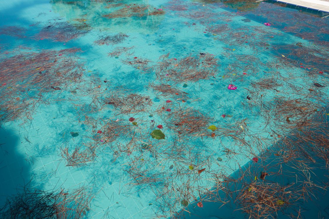 Commercial pool installation